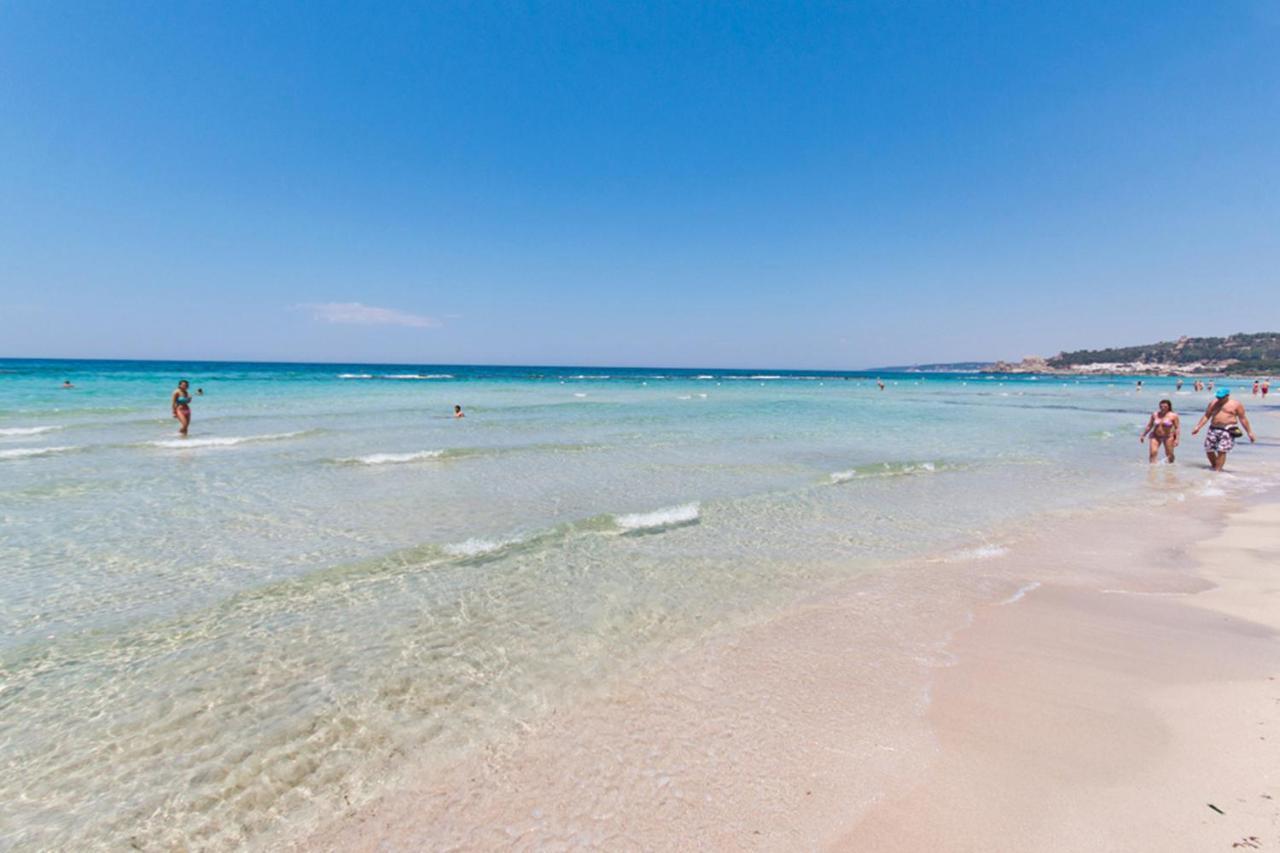 Delfino - Ampio Appartamento A 40 Metri Dalla Spiaggia Lido Conchiglia Exterior foto